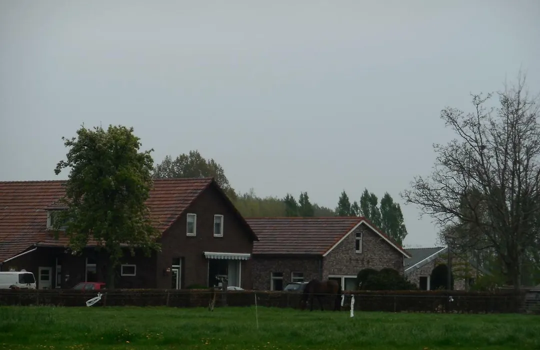 B&B De 7 Sprong-1